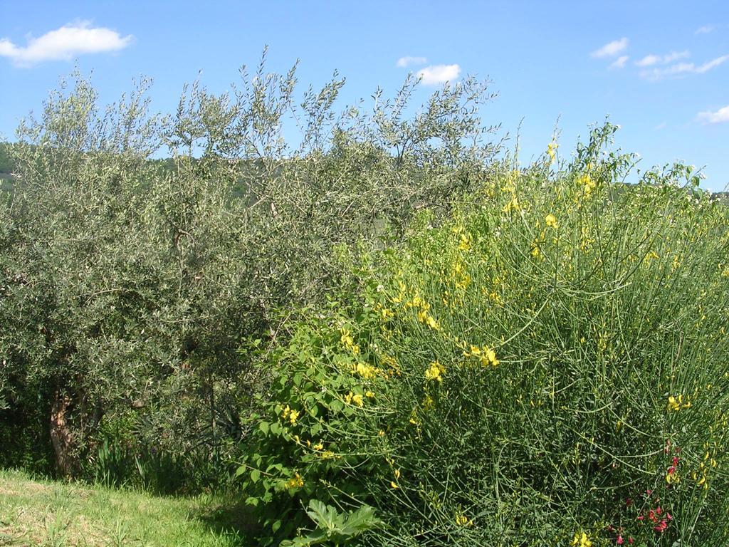 Guardalaluna Villa Pian di Scò Exterior foto